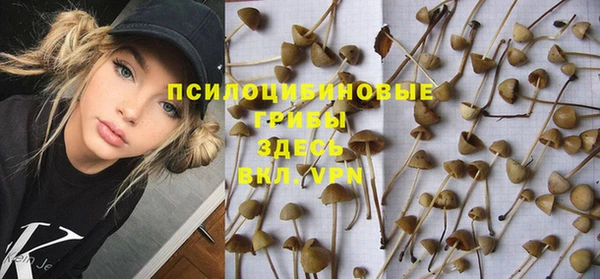 а пвп мука Верея