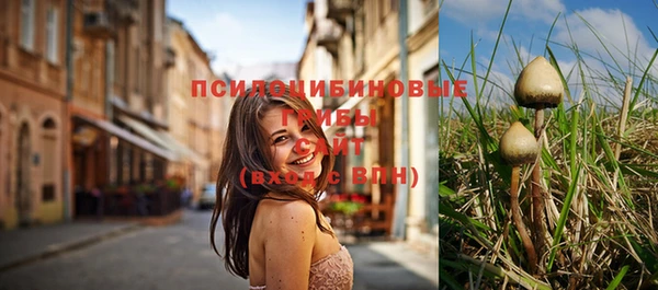 а пвп мука Верея